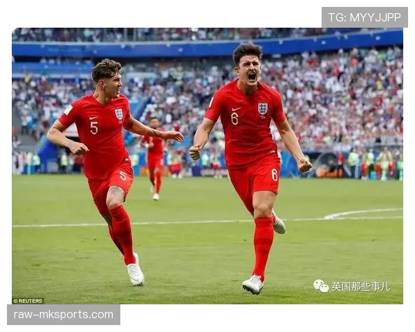 瑞典球迷黄蓝军团 瑞典球迷黄蓝军团